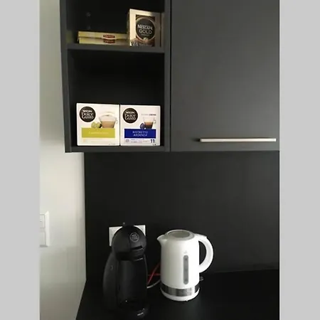 Trendy New And Large 3 Beds Apartment Luxembourg